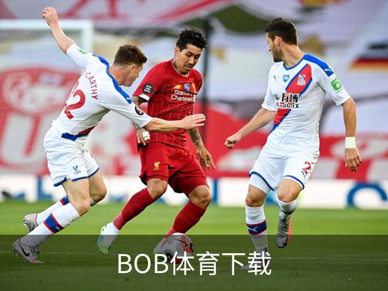 BOB体育下载介绍