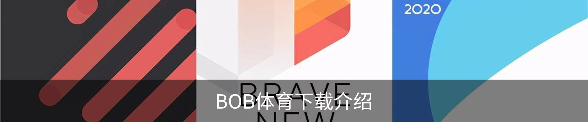 BOB体育下载介绍